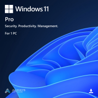 w11pro-big